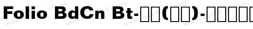 Folio BdCn Bt-普通(西方)字体转换